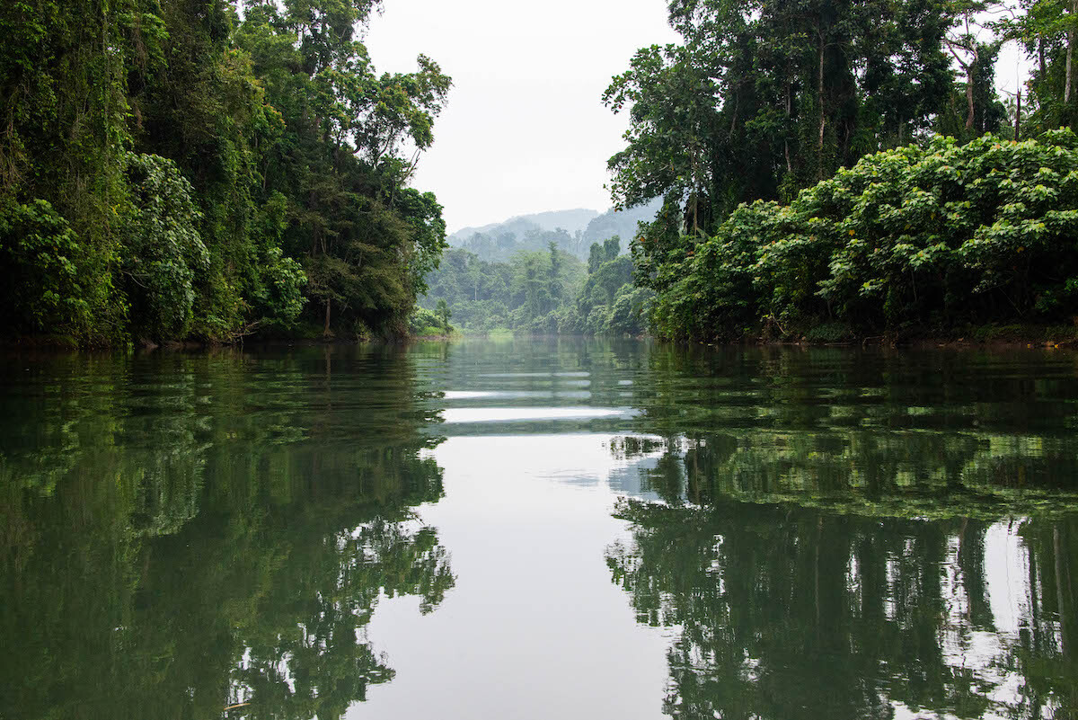 Kolombangara River. Photo Peter Walter UQ