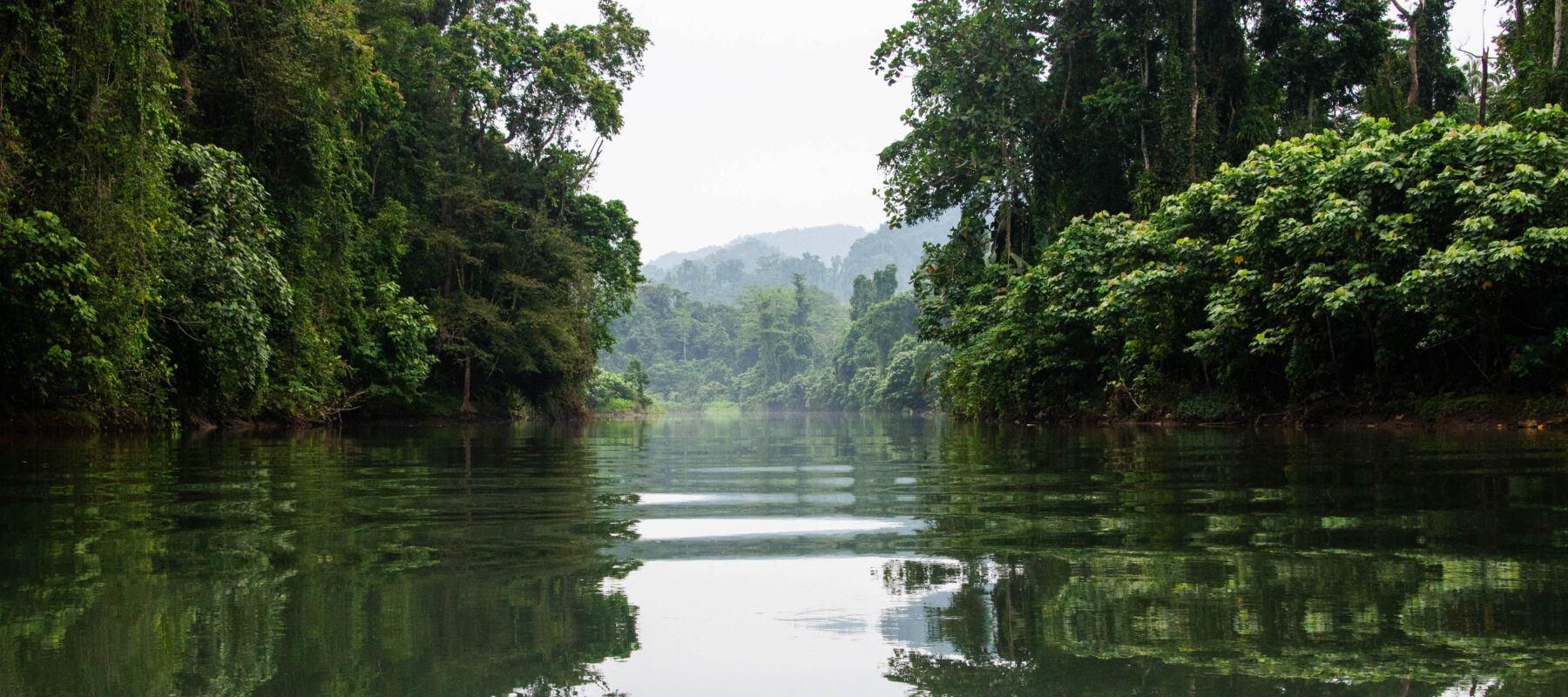 Kolombangara River Peter Walters UQ